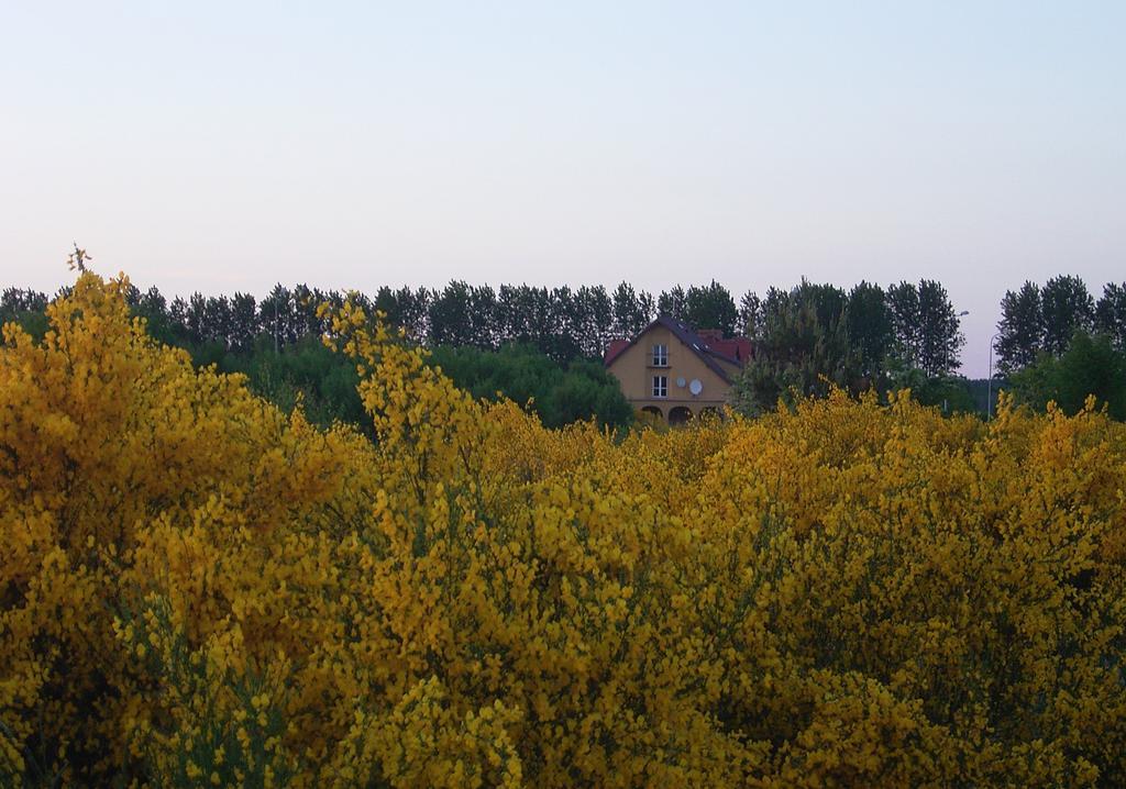 Appartement Arkady à Słupsk Extérieur photo